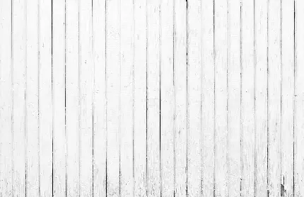 تصویر تکسچر و بافت چوب سفید با الگوی خراشیده 