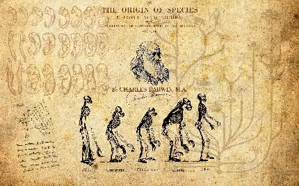 دانلود طرح نظریه زیست شناس معروف انگلیسی چارلز داروین