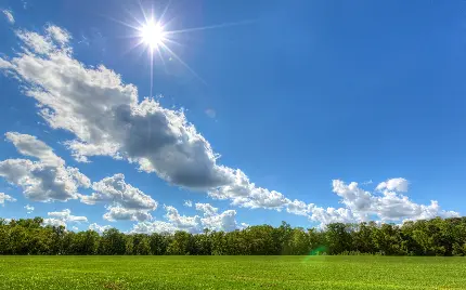 تصویری شاداب و دلنشین از دشت سرسبز آسمان آبی و پرتو های آفتاب