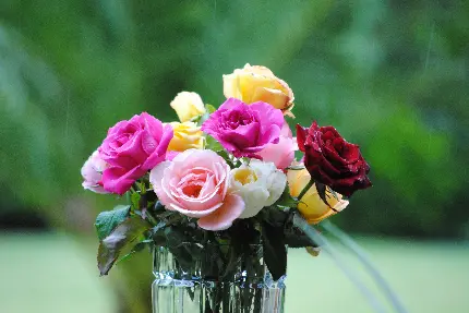 عکس زیبا از گل و دسته گل شیک مخصوص عکس پروفایل گل