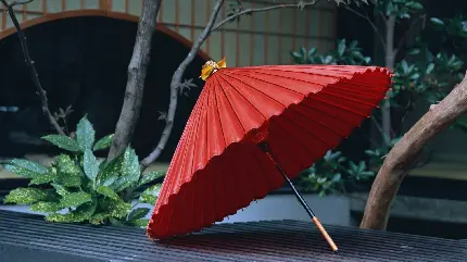 عکس استوک از چتر قرمز نماد خانم های زیبا در ژاپن