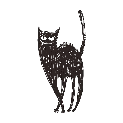تصویر پی ان جی PNG رایگان گربه مشکی بدون بک گراند 