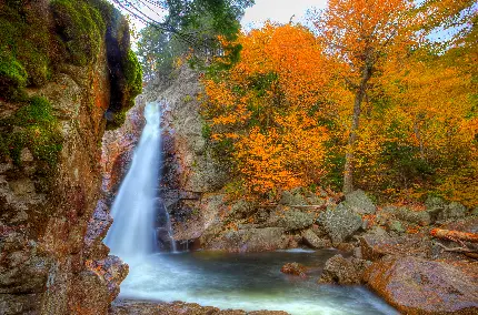 عکس واقعی آبشار زیبا در طبیعت پاییزی با بیشترین کیفیت 