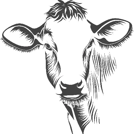 نقاشی دیجیتالی کامپیوتری صورت گاو مناسب طراحی لوگو 