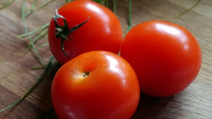 عکس گوجه فرنگی قرمز یکی از محصولات مشهور جهانی با کیفیت بالا
