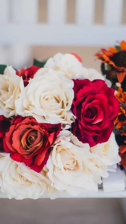 دانلود عکس گل رز قرمز و سفید مناسب برای دسته گل عروس