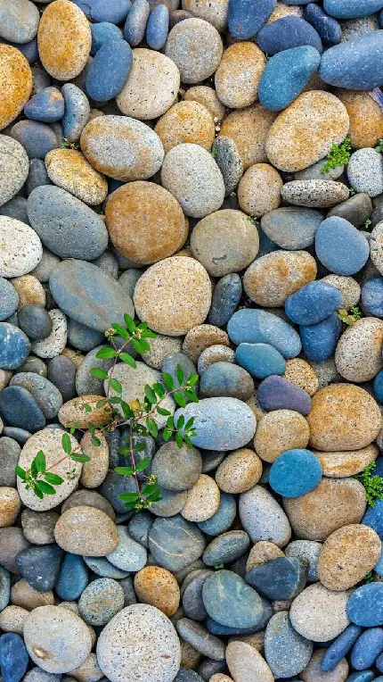 بهترین تصویر پس زمینه سنگی با رنگ های آرامش دهنده برای گوشی