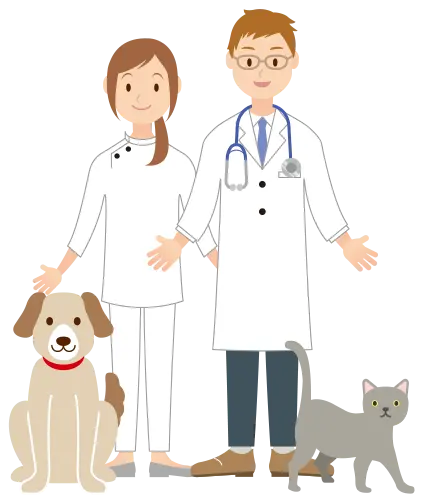 دانلود عکس دامپزشک مرد و زن و سگ و گربه بدون تصویر زمینه 