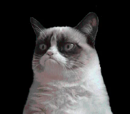 تصویر پی ان جی گربه غمگین ویژه پک استیکر خنده دار تلگرام