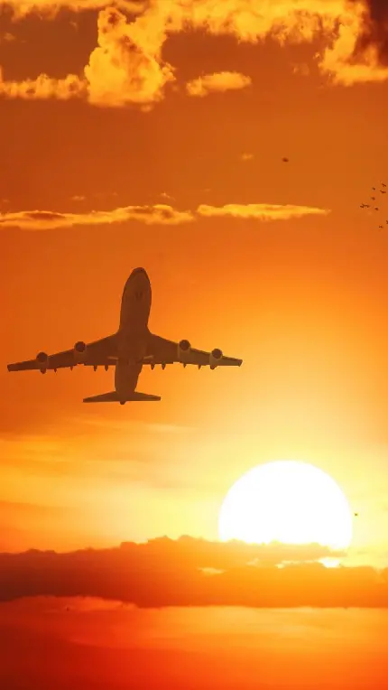 عکس غروب خورشید و پرواز هواپیما با کیفیت دوست داشتنی