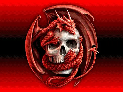 عکس پروفایل قرمز خاص طرح جمجمه دزدان دریایی و اژدها افسانه‌ای