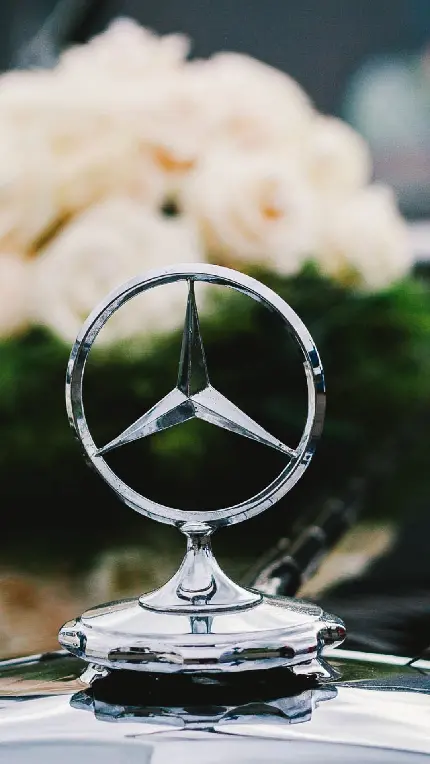 عکس لوگو مرسدس بنز روی ماشین عروس تزیین شده با رز سفید