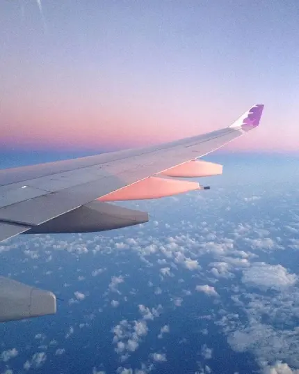 عکس پروفایل بال هواپیما هنگام غروب صورتی در آسمان