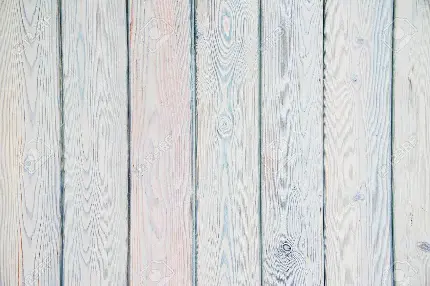 تصویر زیبا از تکسچر و بافت چوب سفید با کیفیت عالی 