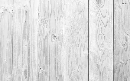 دانلود رایگان تکسچر چوب سفید با بافت طبیعی و زیبا 