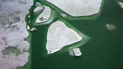 تصویر زمینه با کیفیت از یخ های شکسته ی معلق روی دریا 