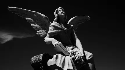 عکس مجسمه سنگی فرشته بال دار با بالاترین کیفیت 