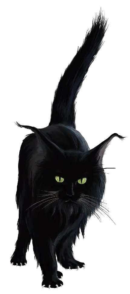 تصویر پی ان جی گربه سیاه دیجیتالی پشمالو با ناخن های بلند