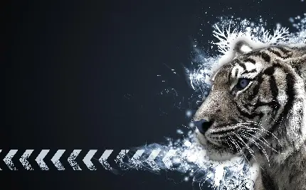 چاپ پوستر عکس فانتزی به سبک و طراحی انتزاعی ابستره حیوانی زیبا 