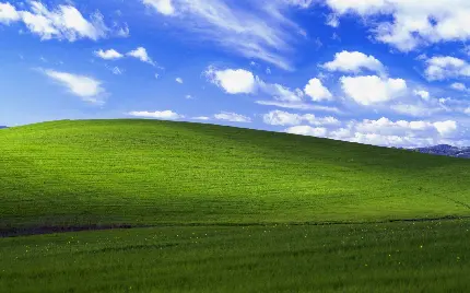 عکس خاطر انگیز تپه چمن سبز ویندوز XP برای پس زمینه ویندوز 12