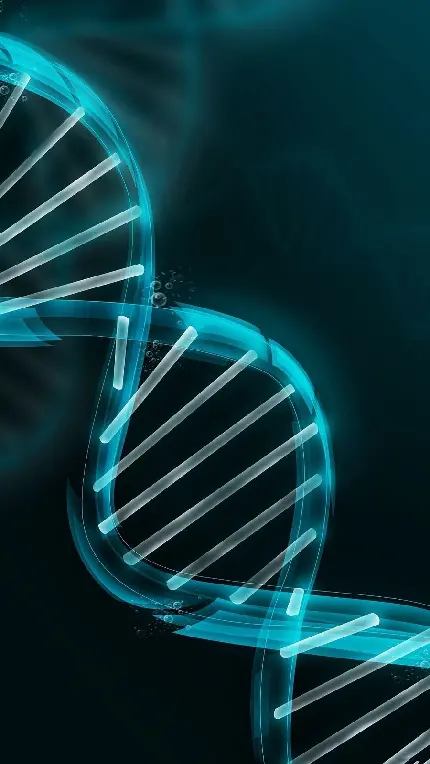 دانلود بک گراند ساده از ساختار دی ان ای DNA مخصوص موبایل