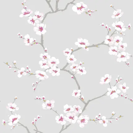 دانلود والپیپر جذاب از نماد زیبای بهار شکوفه های سیب