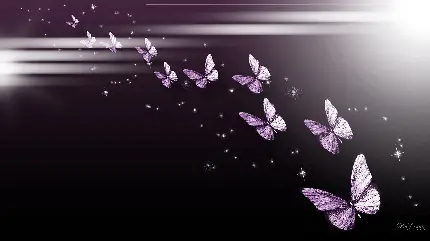 بک گراند فوق العاده زیبا از پروانه های بنفش مات 