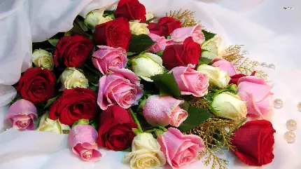 بهترین تصویر زمینه گل های رز رنگارنگ برای سالگرد ازدواج