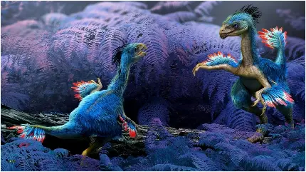 تصویر پرنده های بازمانده از نسل دایناسورها با پر های آبی خوشگل