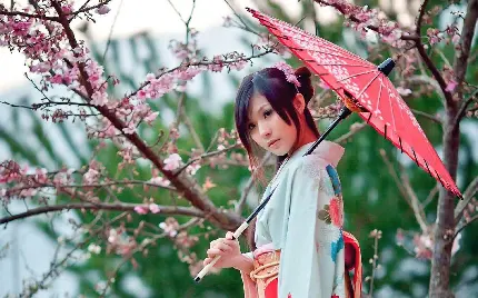 عکس دختر ژاپنی زیبا با چتر صورتی در باغ شکوفه های گیلاس