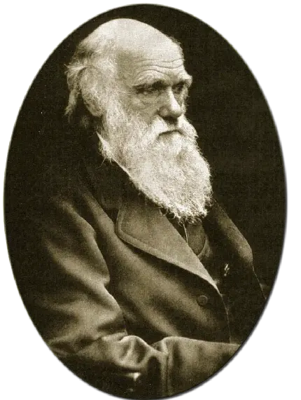دانلود عکس پی ان جی PNG چارلز داروین نظریه پرداز معروف انگلیسی 