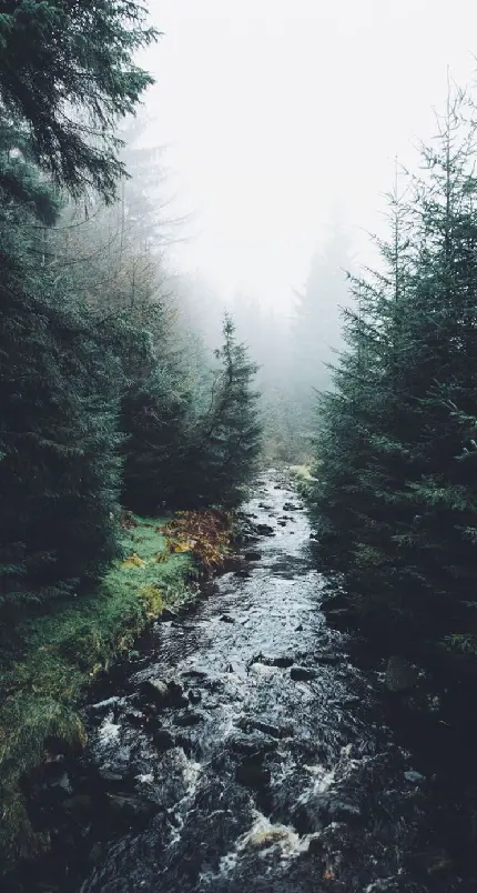 عکس رودخانه زیبا