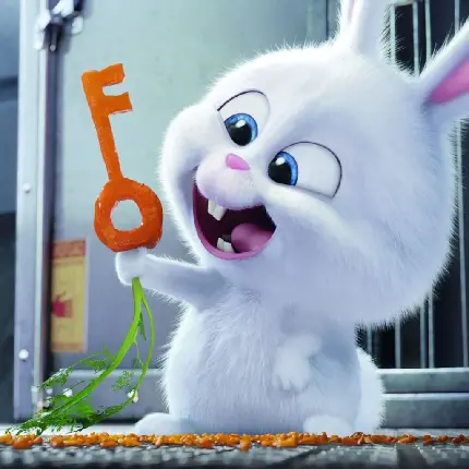 پروفایل کیوت از خرگوش کارتونی با کلید هویجی در دست