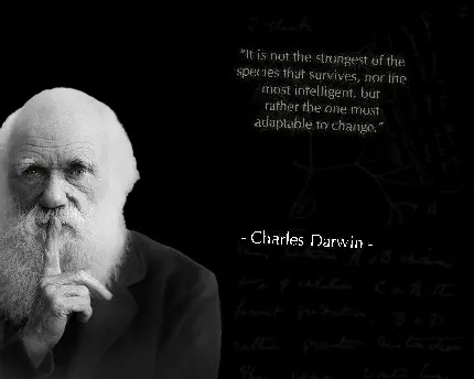 چاپ پوستر عکس نوشته زبان اصلی با تصویر Charles Darwin چارلز داروین 