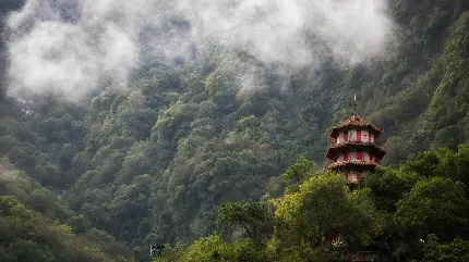 خونه باغ کوهستانی در بین کثیری از درختان سرسبز با مه دل انگیز