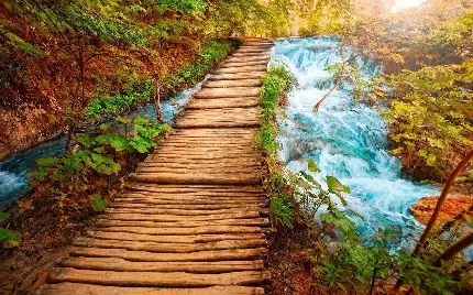 نگاره ای زیبا از پل چوبی خوشمنظر و آبشار آبی با کیفیت بالا