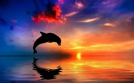 تصویر زمینه غروب متفاوت دریا و دلفین زیبا با کیفیت شگفت انگیز