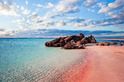 عکس ساحل صورتی pink منطقه ای شرجی زیر نور خورشید سوزان