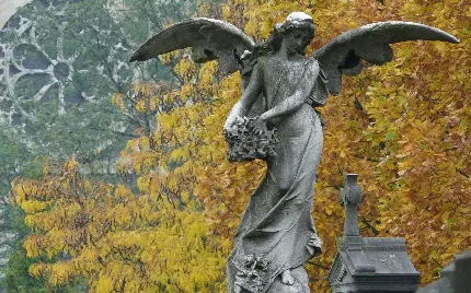 دانلود تصویر مجسمه سنگی فرشته بال دار زیبا و رنگارنگ 