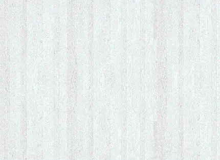 دانلود تصویر دلنشین  تکسچر و بافت چوب سفید 