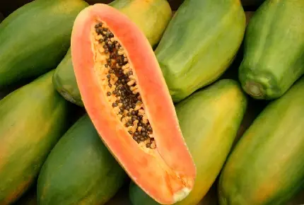 تصویر زمینه پاپایا مخصوص علاقه مندان به میوه های پر خاصیت