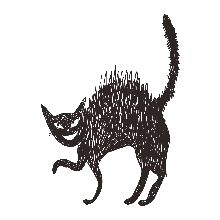 دانلود تصویر رایگان گربه تیره رنگ پی ان جی دور بری شده 