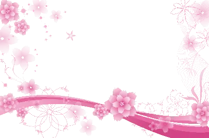 عکس مینیمال چهره