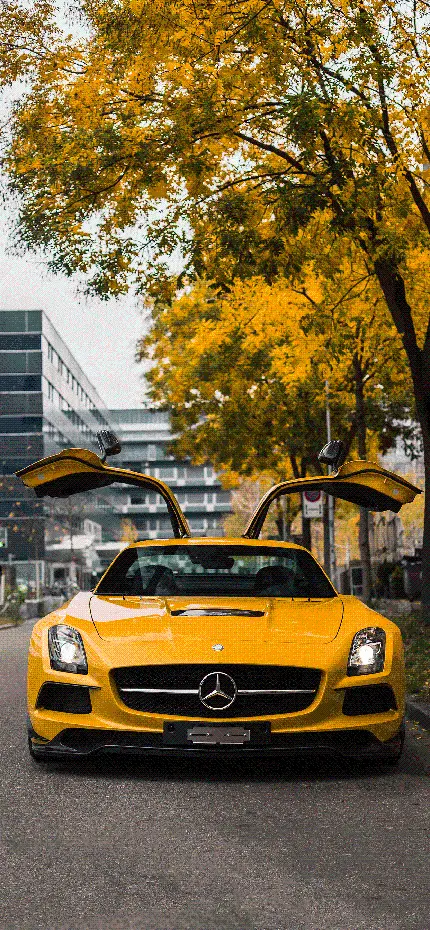 بک گراند مرسدس بنز SLS AMG 2014 زرد زیر درخت های پاییزی شهر