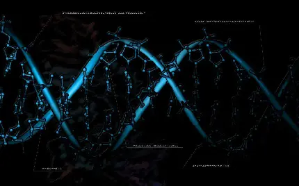 دانلود عکس استوک دی ان ای DNA با زمینه مشکی مخصوص دسکتاپ