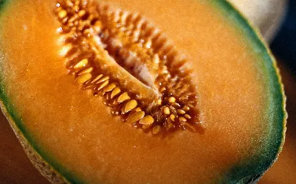 عکس استوک تخمه طالبی نارنجی با خواص جالب و حیرت انگیز