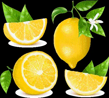 عکس های PNG لیمو ترش و شیرین بدون پس زمینه و دوربری شده