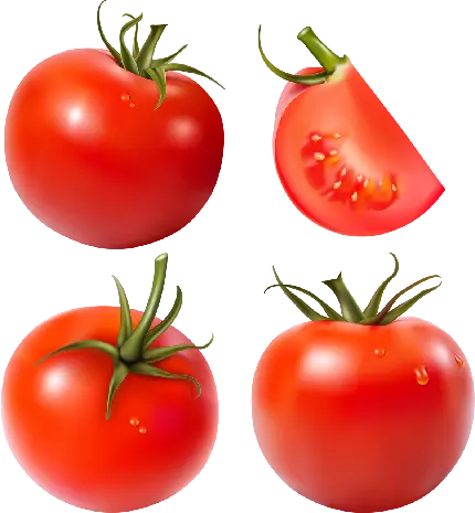 جدیدترین عکس گوجه فرنگی های قرمز تازه با فرمت PNG و رایگان