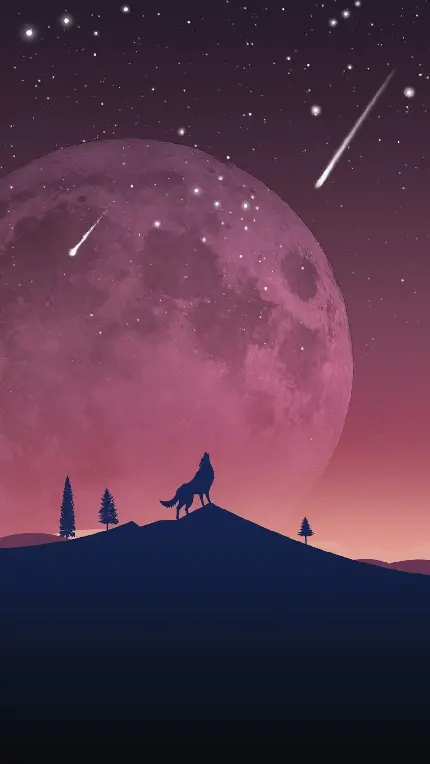 عکس زمینه گرگ و ماه با تکنیک ضد نور Silhouette در دشت