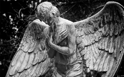 دانلود عکس استوک و سیاه سفید از مجسمه فرشته مهربون 